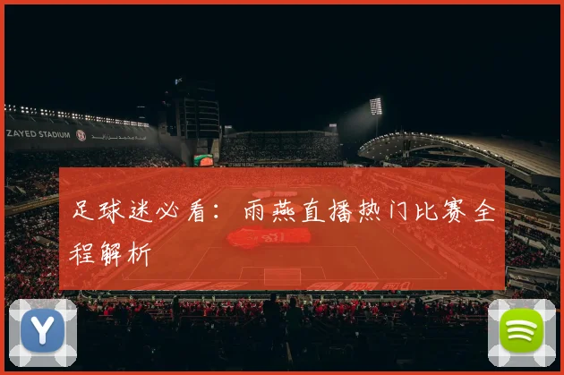 足球迷必看：雨燕直播热门比赛全程解析