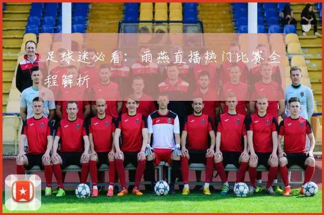 足球迷必看：雨燕直播热门比赛全程解析
