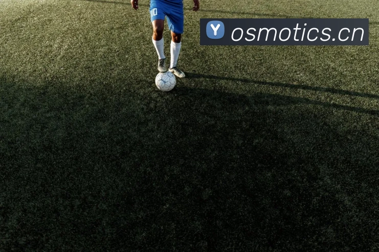 云顶集团官网登录入口平台生态图